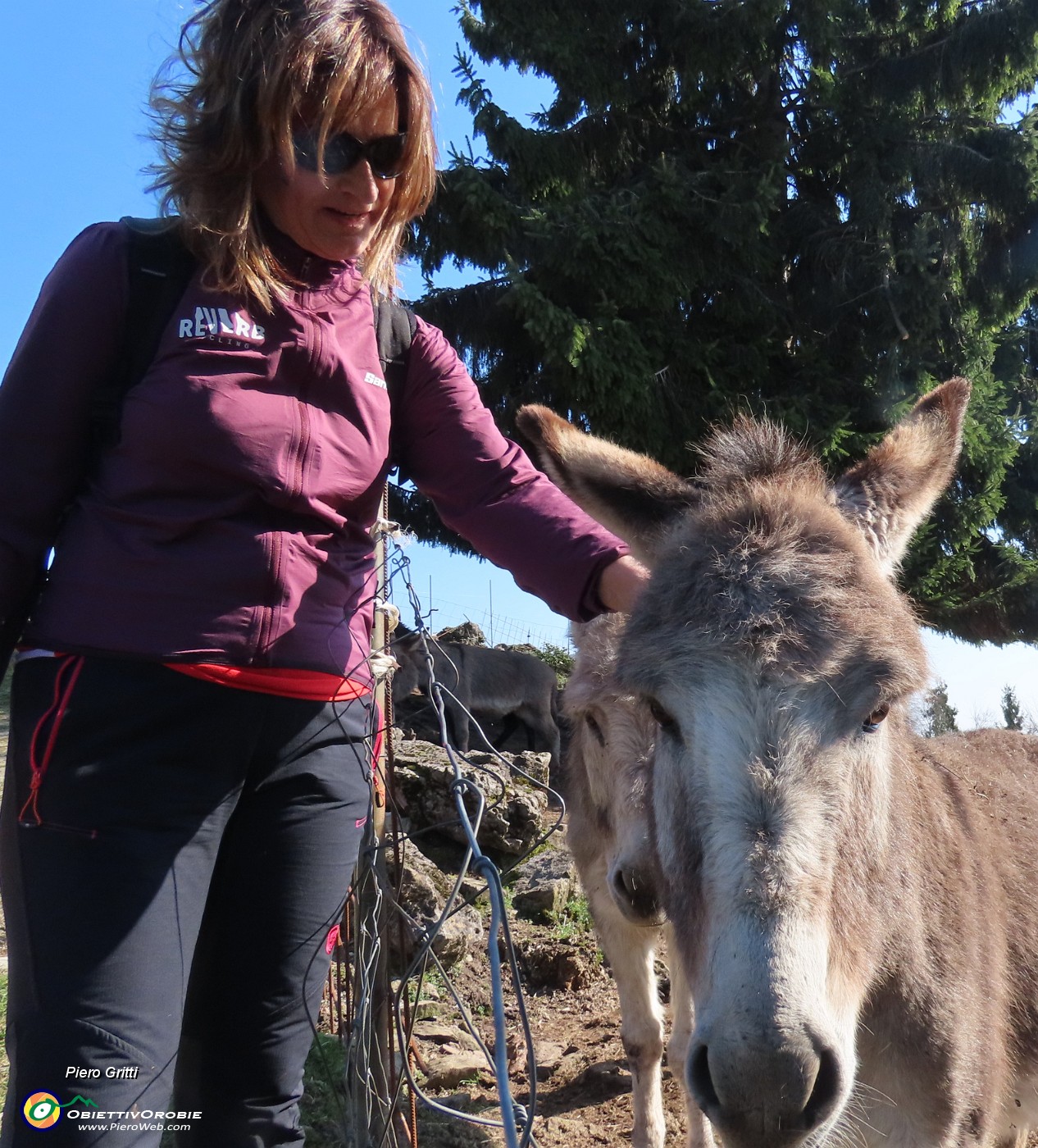 70 Accarezziamo gli amici asienelli.JPG